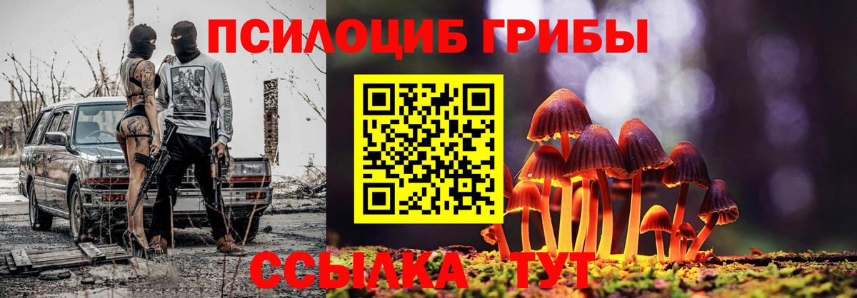 магазин    Псилоцибиновые грибы MAGIC MUSHROOMS  Галлюциногенные грибы прущие грибы  Вход с VPN  Дмитров 